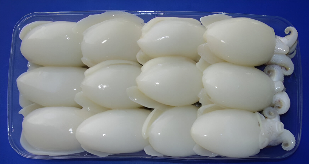 Cleaned Cuttlefish Tray Packed 