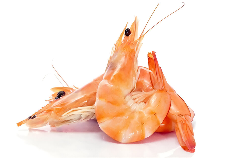 Blanched Head-On Shrimps 